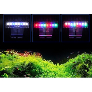 Đèn Led kẹp Coco cho bể thủy sinh