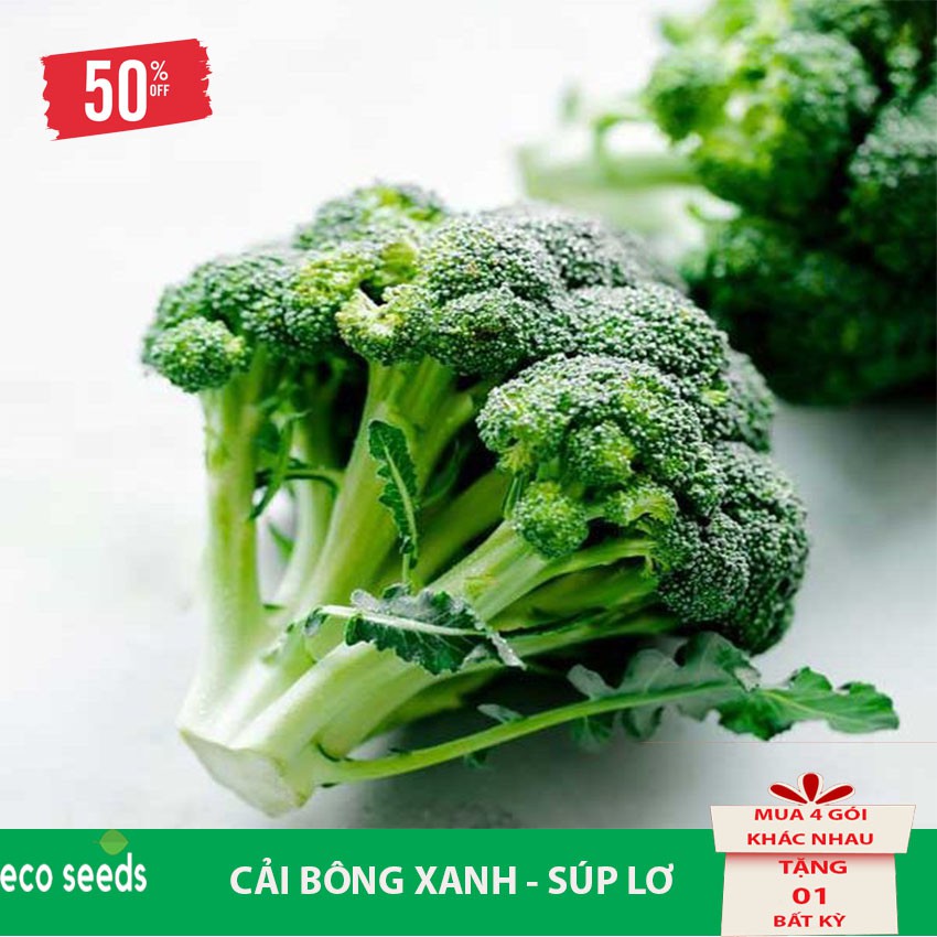 [Sale 50%] Hạt giống Bông Cải Xanh R2 Eco seeds - Súp Lơ KLT 500mg, Tỷ lệ nảy mầm cao, cây sinh trưởng và phát triển tốt