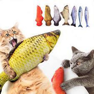 Đồ Chơi Cá Nhồi Bông Cao Cấp Catnip Cho Chó Mèo Cưng