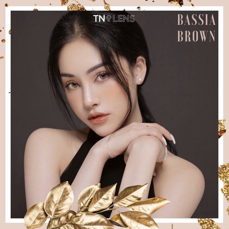 Kính áp tròng BASSIA BROWN 14.0 - Dòng cao cấp độ ẩm cao 12/24h