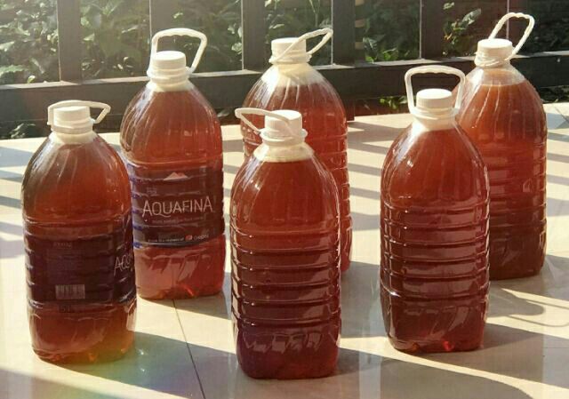 Combo 2 chai mật ong nguyên chất