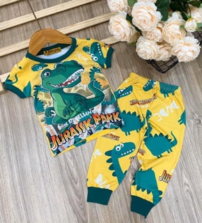 Bộ thun lạnh quần dài cho bé trai
