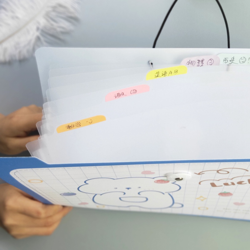Bìa Hồ Sơ Trong Suốt A4 Nhiều Họa Tiết Xin Xắn Dạng Khóa Gài -Túi Đựng Tài Liệu -Bìa Đựng Giấy