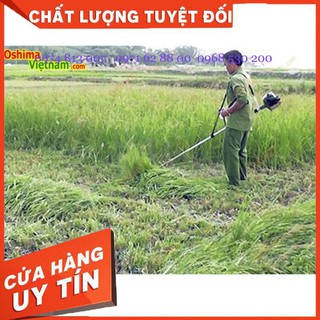 Máy cắt cỏ Aosheng 330