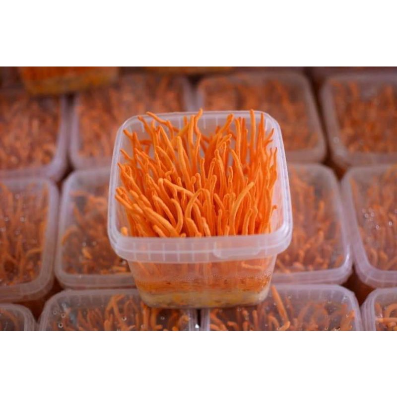 100g - Đông Trùng Hạ Thảo nguyên chất - Hàng mới,  khô,  thơm