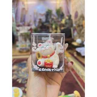 Mèo thần tài may mắn thái lan