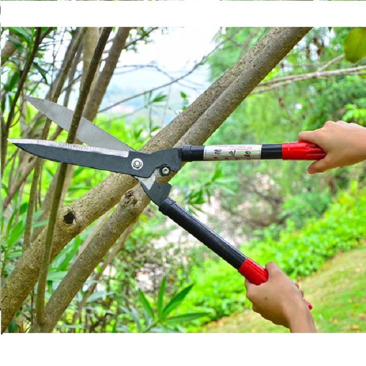 Kéo cắt tỉa cành cây cây trên cao có dây kéo