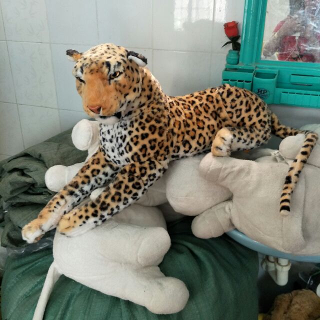 Gấu của thiện ân
