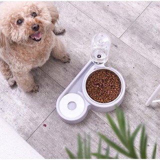 Bình chén ăn uống tự động chó mèo