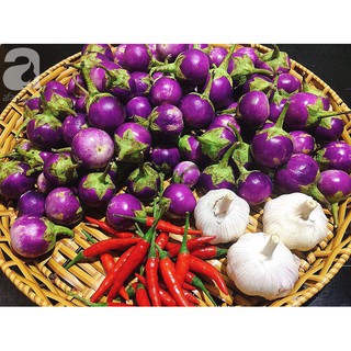 Hạt Giống Cà Pháo Tím Sai Trái