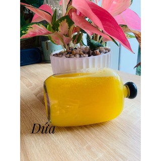 Máy ép chậm Snapbee