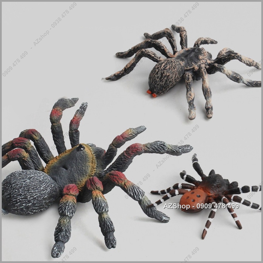 Mô Hình Loài Nhện - Thế Giới Động Vật -  7709