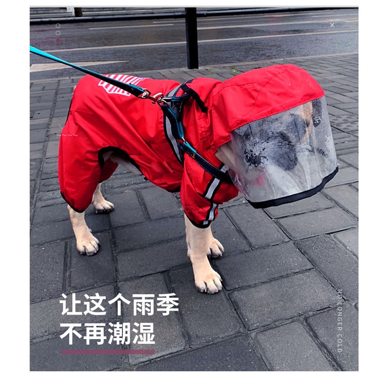 Áo Mưa Xinh Xắn Cho Thú Cưng Mới