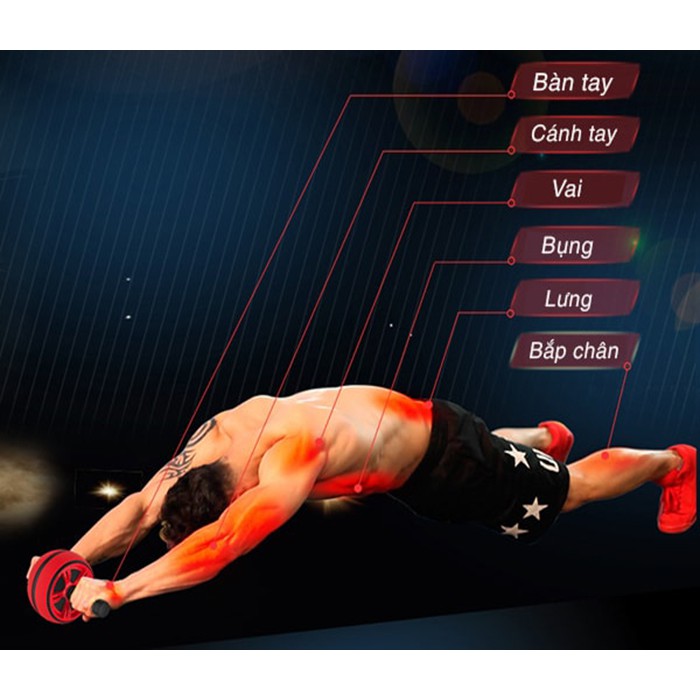 Con lăn tập bụng AB Carver Pro Roller