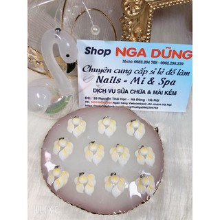 hoa góc ngắn mong