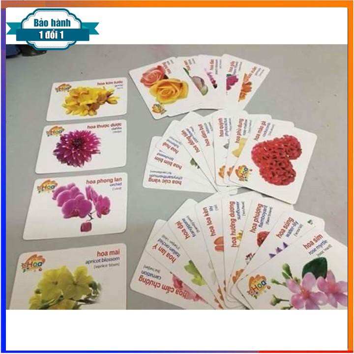 [ Gía siêu rẻ ] FLASH CARD VIỆT ANH ( BỘ 16 CHỦ ĐỀ 416 THẺ)
