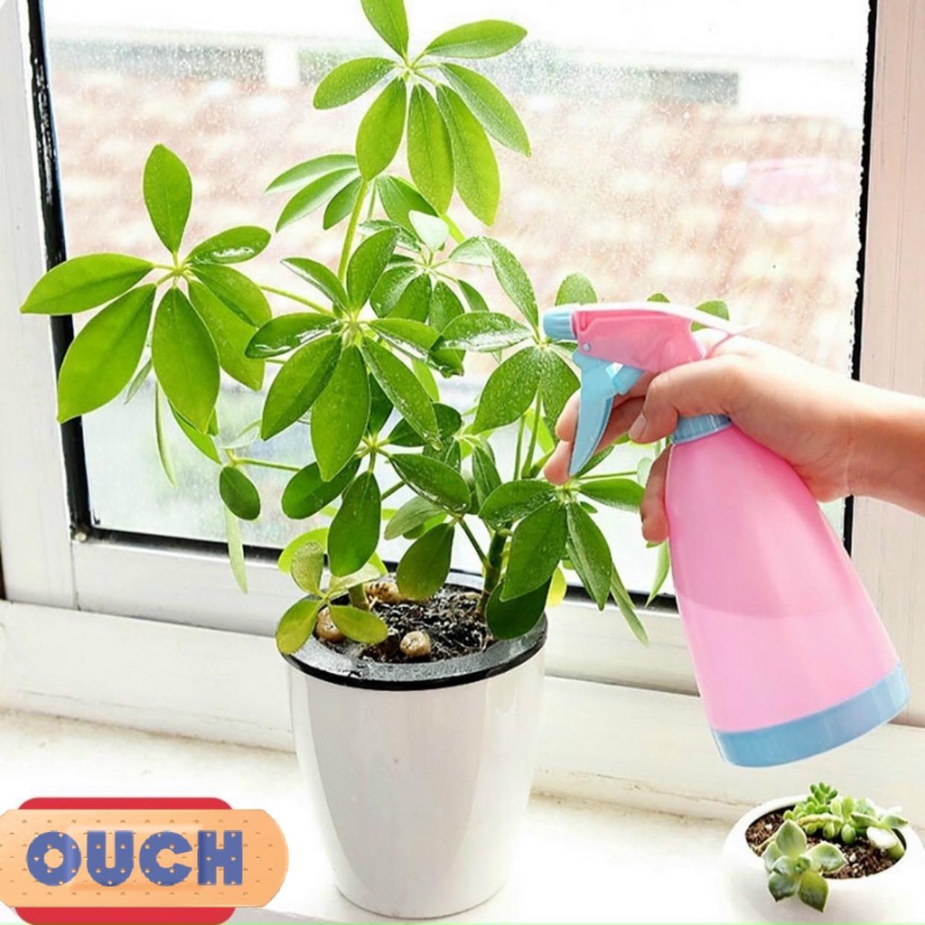 Bình xịt tưới cây đa năng, tiện dụng