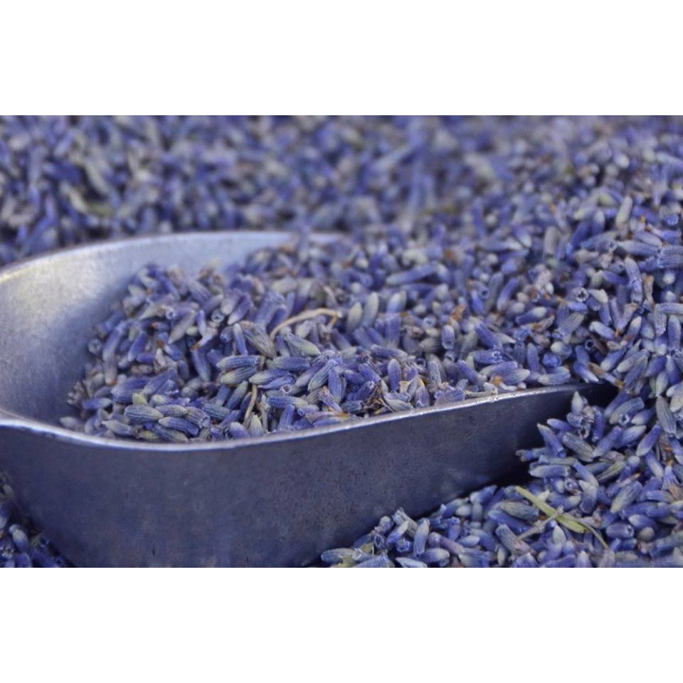 Nụ hoa lavender khô