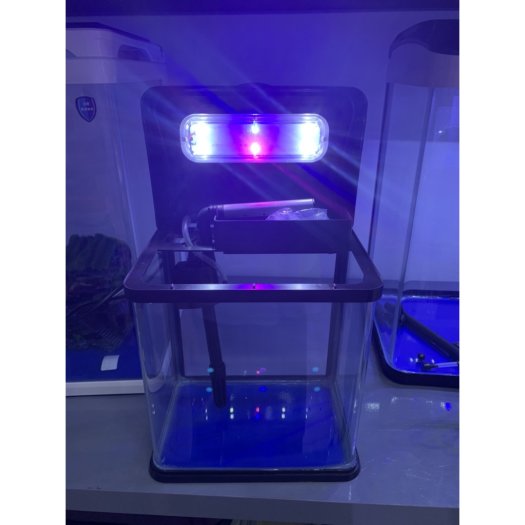 Bể cá để bàn văn phòng RS 230EL