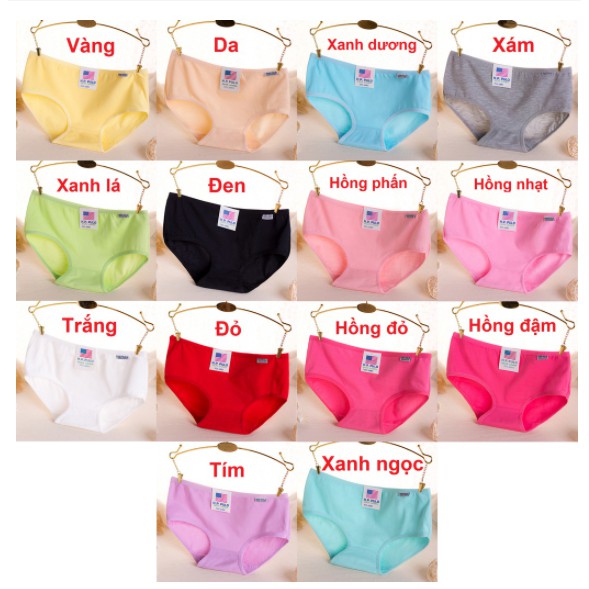 Quần Chip Cotton H&P Pulo - Quần lót kháng khuẩn mềm mại xuất Mỹ