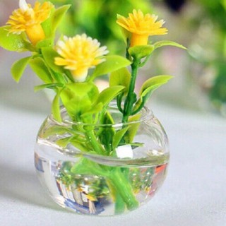 Hồ cá thủy sinh🐠 Bể cá để bàn hình QUẢ CẦU