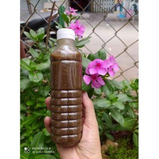 Phân đỗ tương ( bánh dầu + đậu nành )