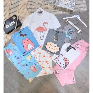 903. SÉT BỘ HÌNH THÚ SIÊU CUTE