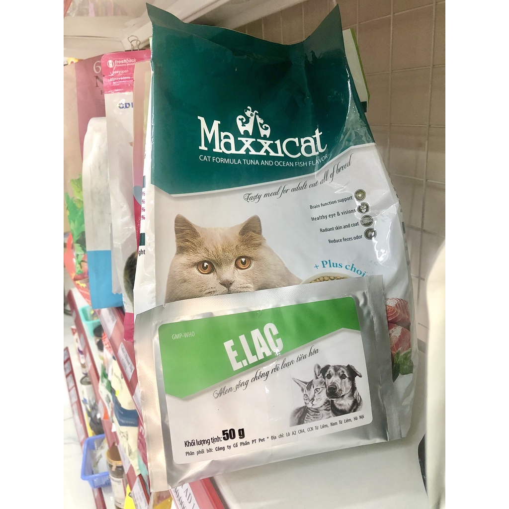 Maxxicat Adult 500g - 1.5kg - thức ăn dành cho mèo trưởng thành