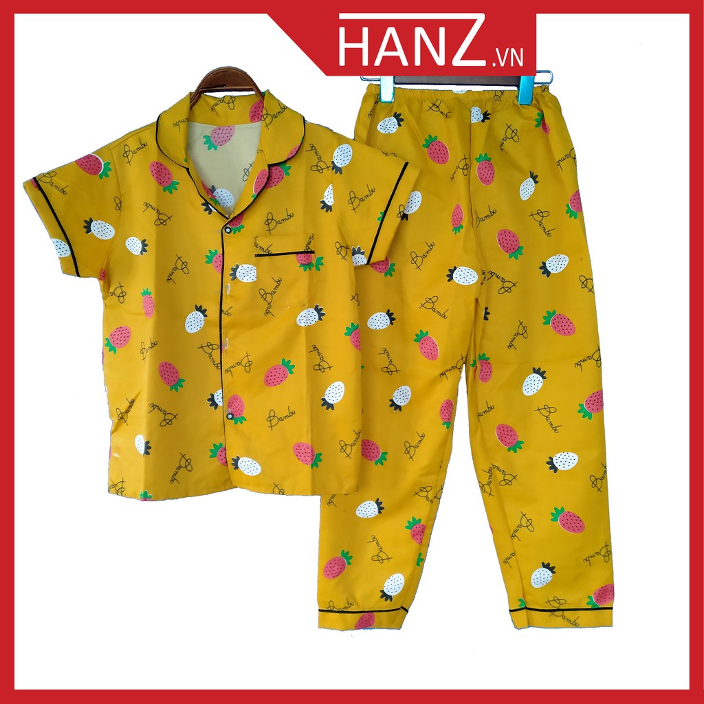 Bộ ngủ pijama lụa kate thái áo cộc quần dài bộ mặc nhà Hanz.vn mềm mại dễ thương H2NN