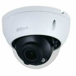 Camera IP DAHUA DS2431RDIP-S2