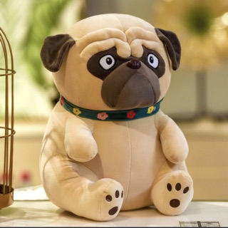 CHÓ PUG 🦴🦴🦴