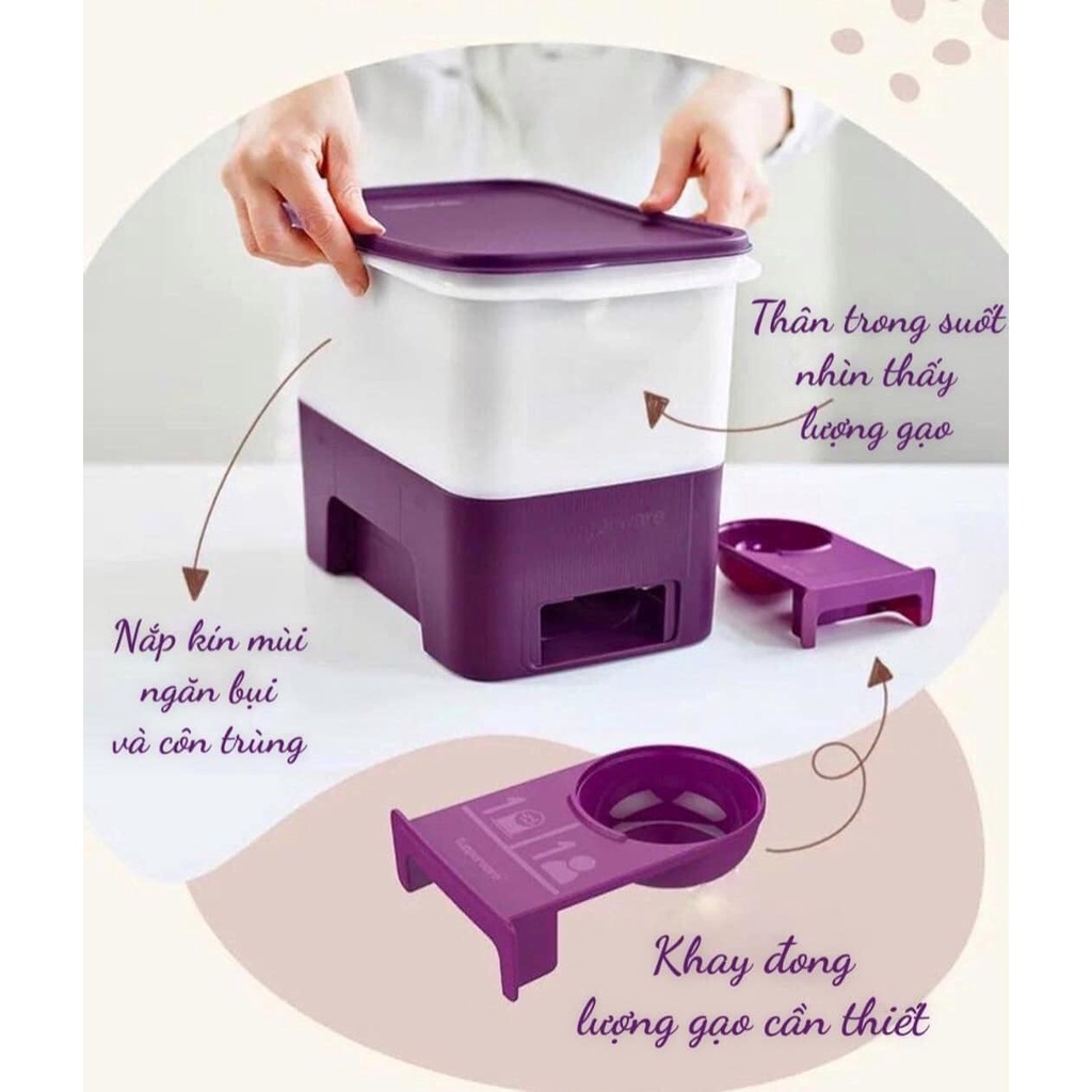 Thùng gạo Rice Smart Junior 5kg Tupperware không bị ẩm mốc, lấy gạo tiện lợi không bị mối mọt nhựa nguyên sinh an toàn