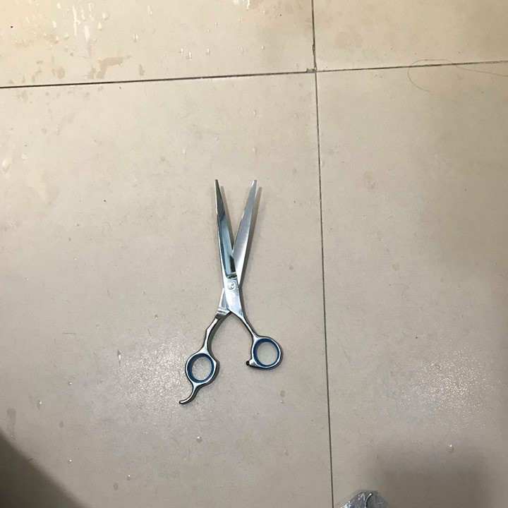 Bộ kéo spa cho chó mèo