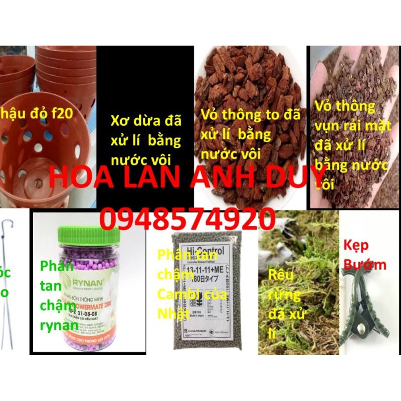 COMBO chậu đỏ + phân tan chậm + giá thể trồng lan vỏ thông, xơ dừa đã qua xử lý nấm( trọn bộ cho một chậu lan)