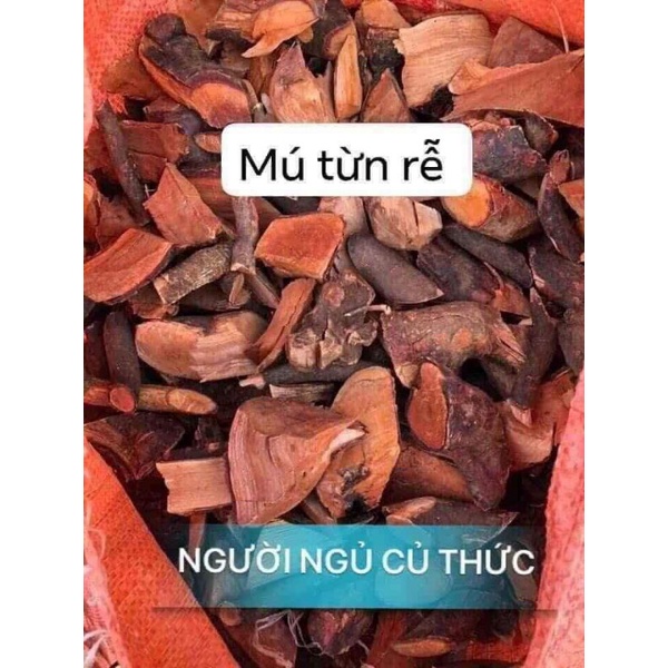 Rễ cây mú từn