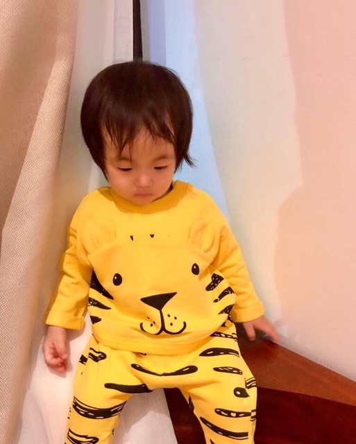 Bộ nỉ hổ vàng HM cho bé