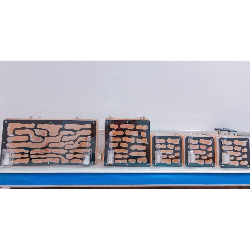 Formicarium / Tổ nuôi kiến / hộp nuôi kiến 30-15-15cm