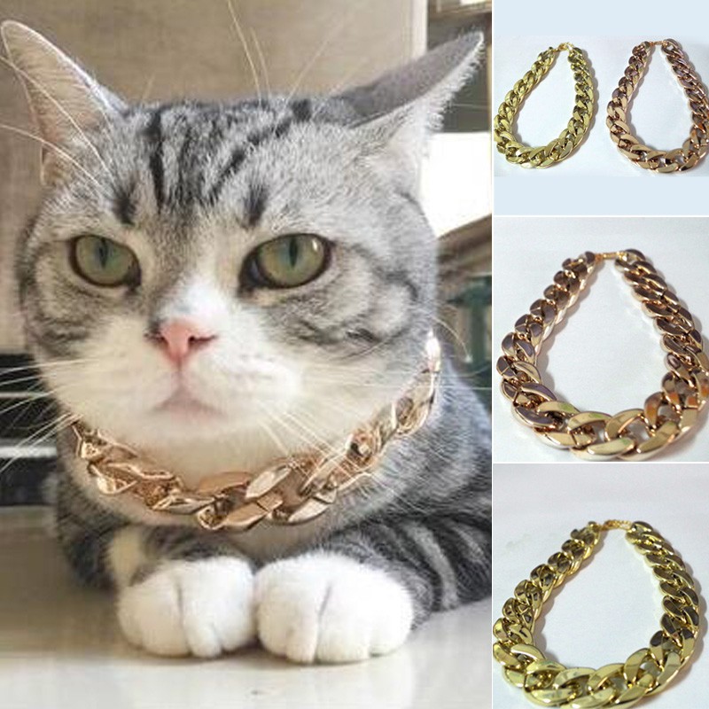 Dây chuyền mạ vàng cho thú cưng
