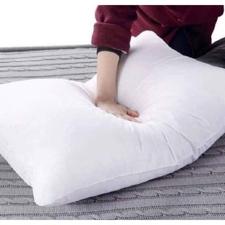 2 ruột gối ép hơi cao cấp sài gòn