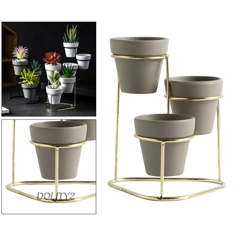 Bộ Sưu Tập Chậu Cây Mọng Nước 3 Trong 1 [Dolity2] Với Giá Đỡ Kim Loại Màu Vàng Kim