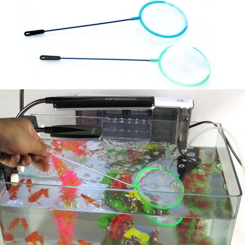 Vợt với cá, tép nhỏ