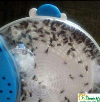 Máy bắt ruồi tự động thông minh