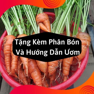 Combo 2 Gói Hạt Giống Cà Rốt