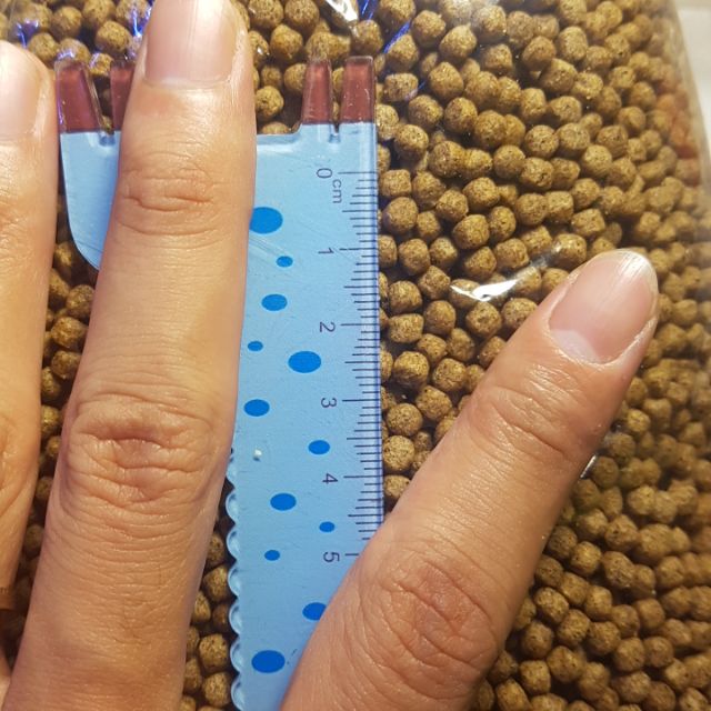 Cám cá koi 1kg