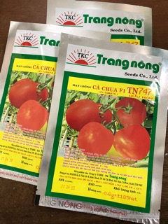 Hạt giống Cà Chua