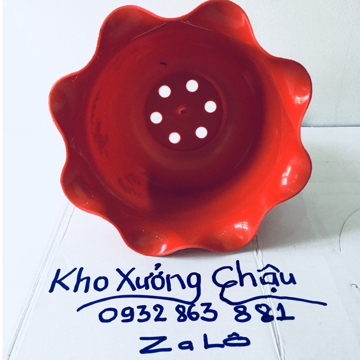 Chậu Hoa Nhựa Miệng Bèo, Chậu Tai bèo - Trang Trí Ban Công, Phòng học Siêu Dễ Thương