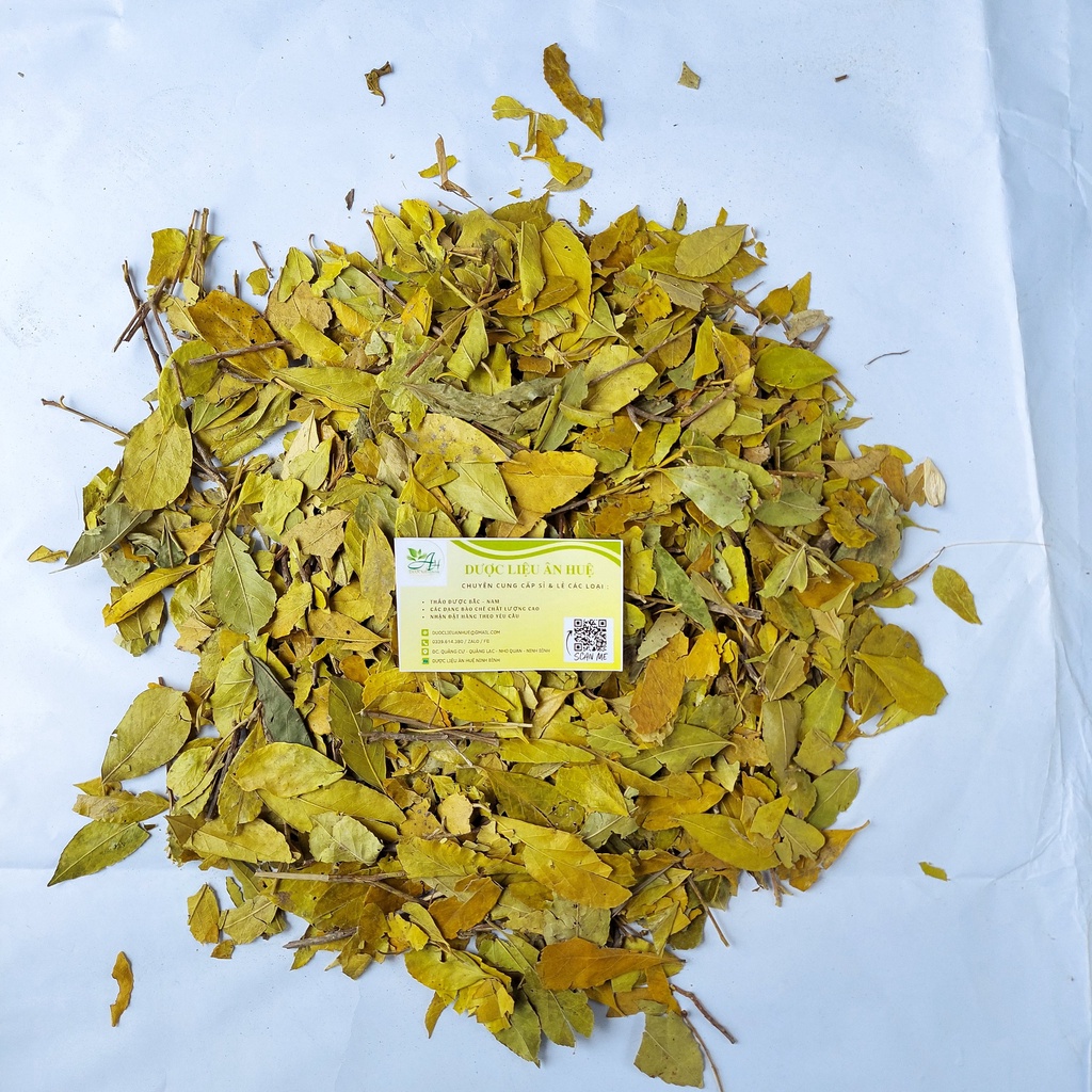 Chè Dung (Trà Dung Khô) Giảm Cân, Thanh Nhiệt, Tốt Cho Dạ Dày 1KG