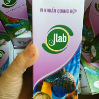 Vi khuẩn quoang hợp Jlab