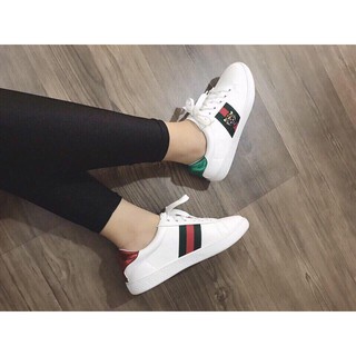 GIÀY GUCCI HỔ