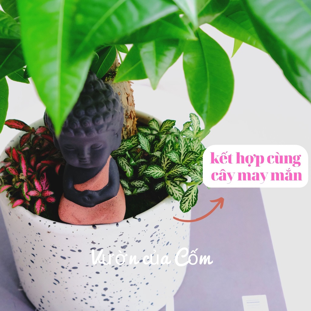 Tiểu cảnh cây kim ngân để bàn kết hợp cùng tượng bình an , bảng tên , cẩm nhung mang tài lộc , may mắn cho gia chủ